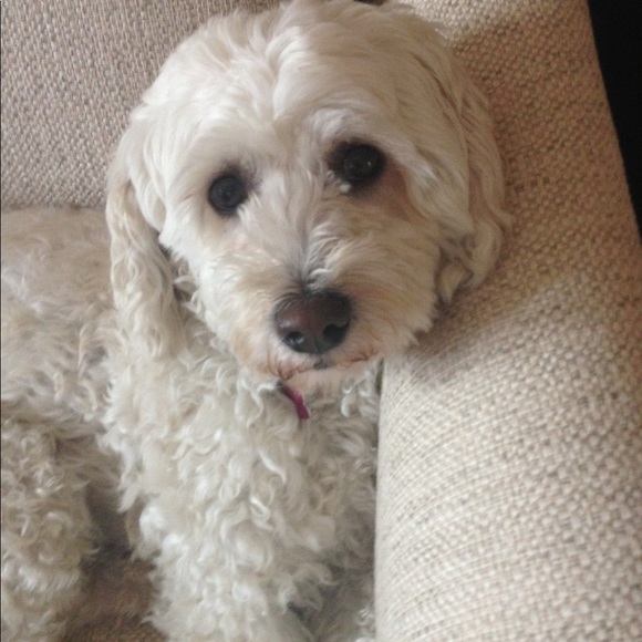 Enjoy Momma’s Closet? We ❤️ that you came by❣️ - Picture 8 of 8